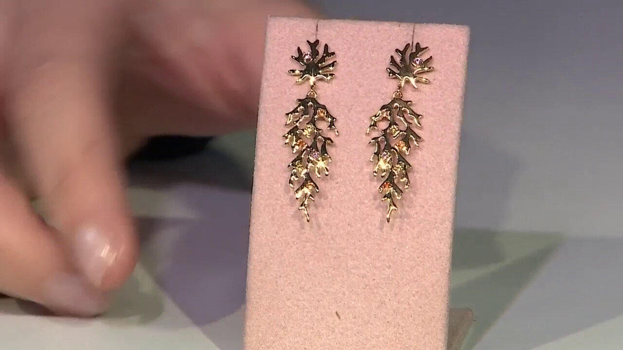 Laatste live aanbiedingen bekijken