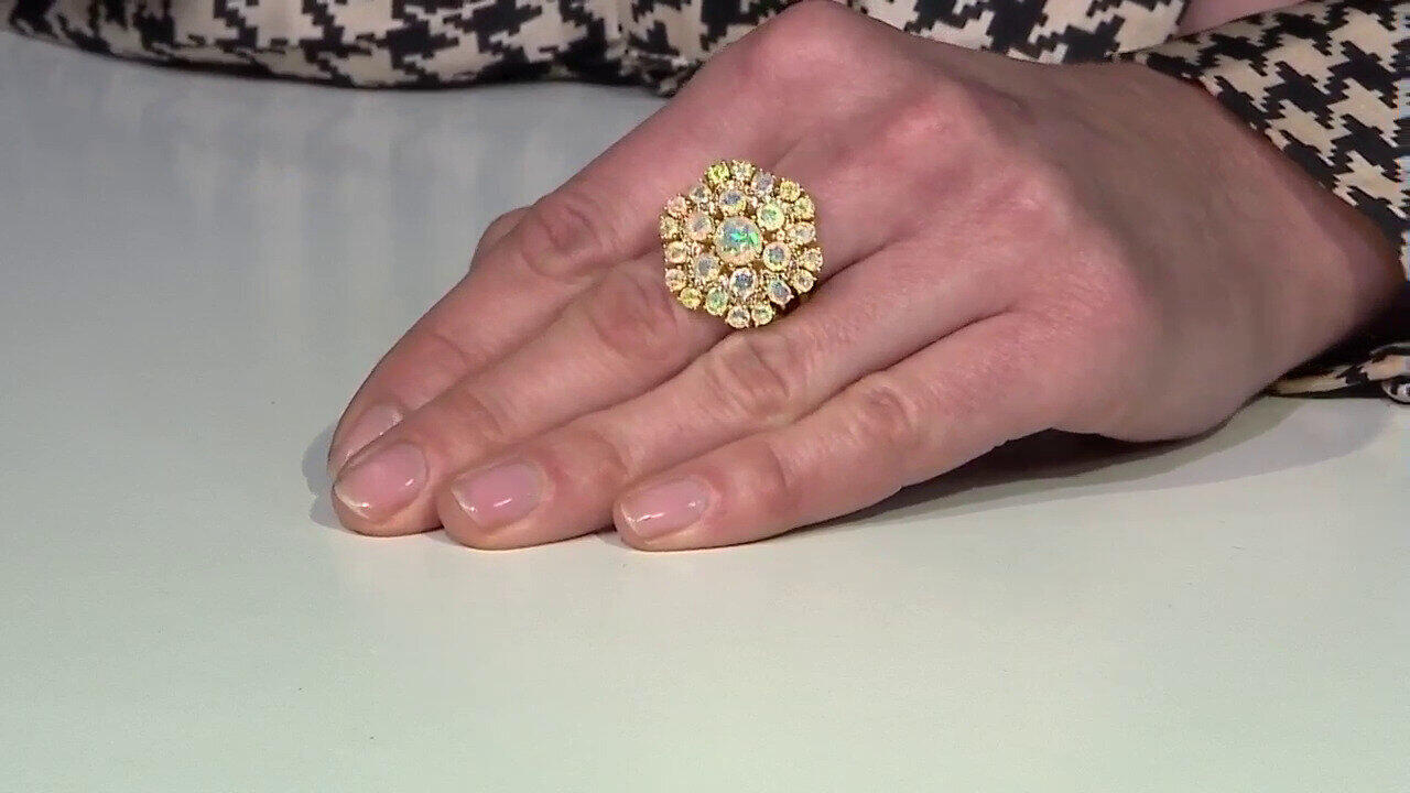 Letzte TV-Show ansehen