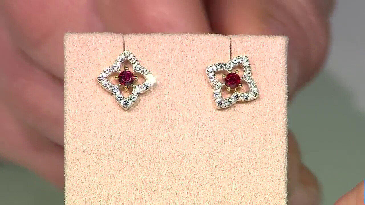 Ver última TV oferta