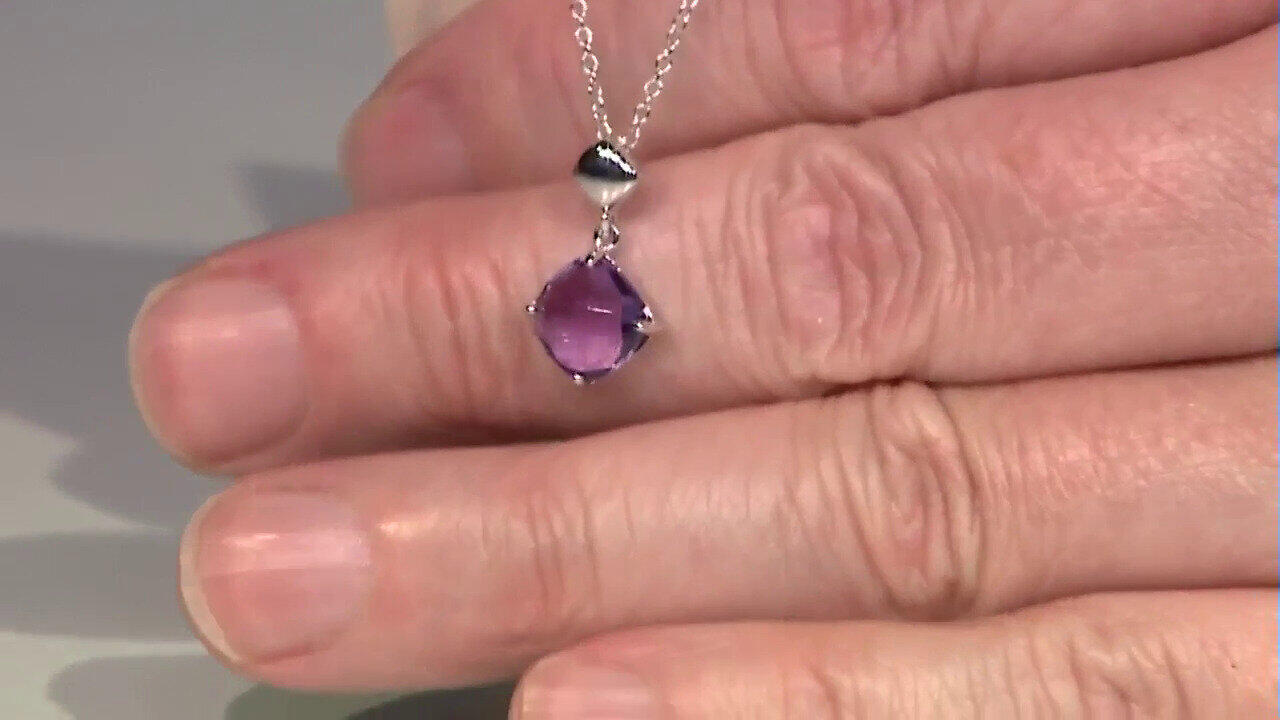 Letzte TV-Show ansehen