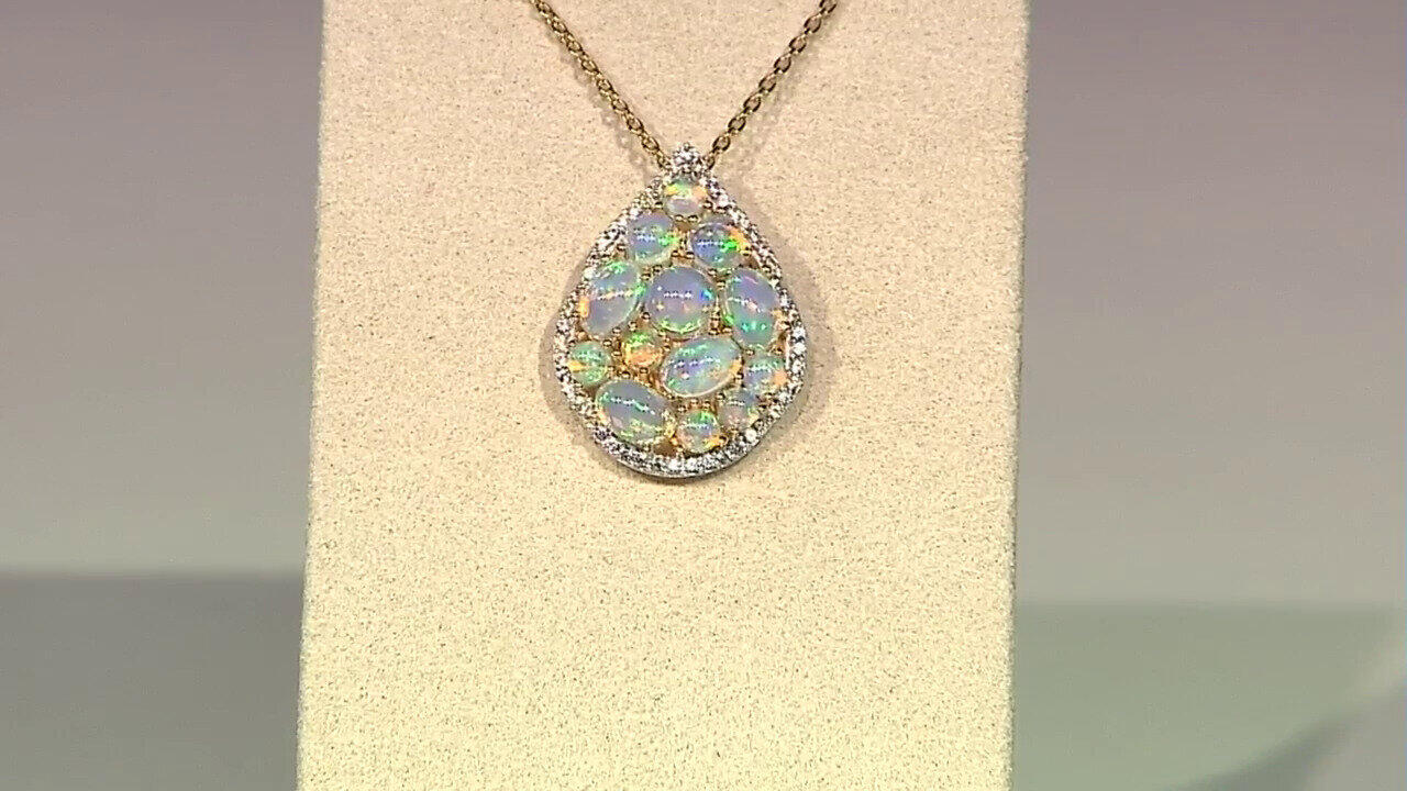 Laatste live aanbiedingen bekijken