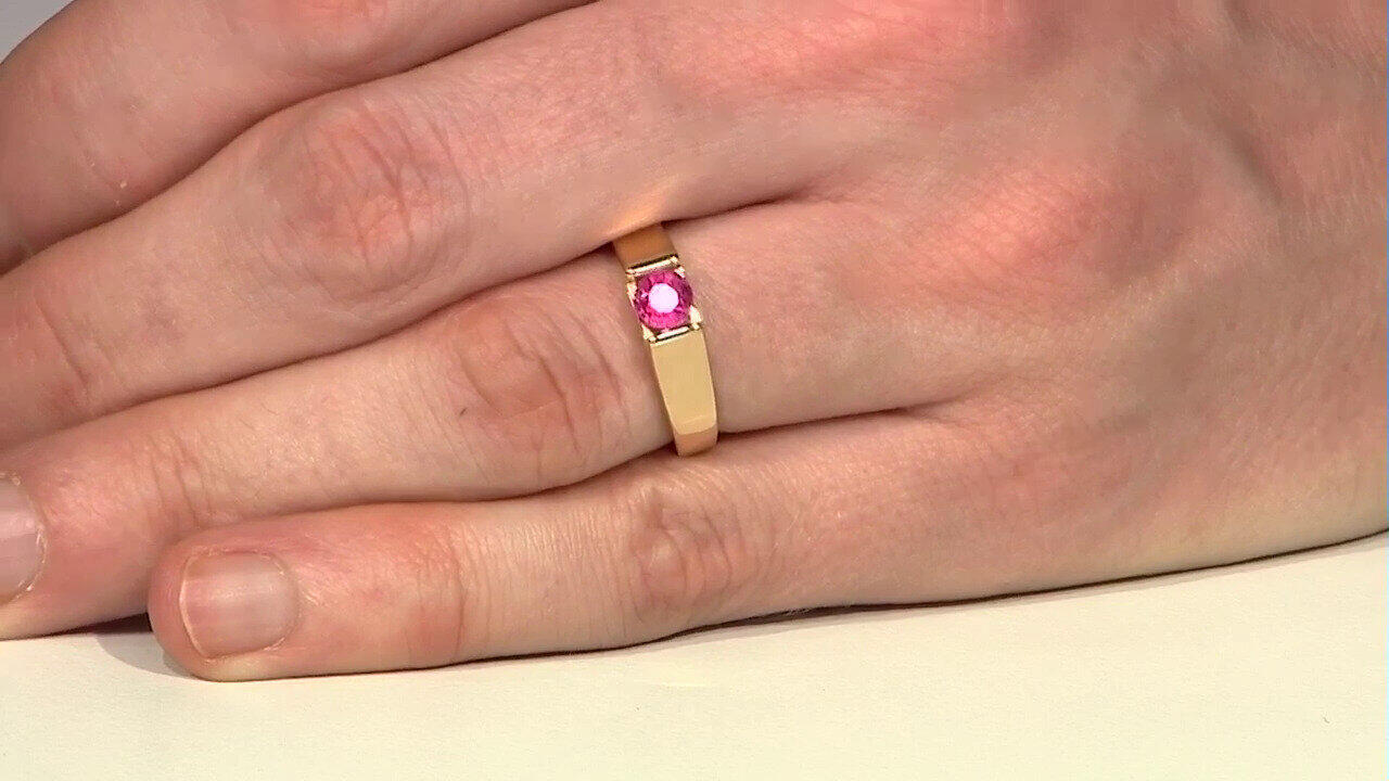 Letzte TV-Show ansehen