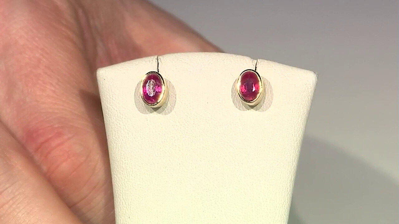 Ver última TV oferta