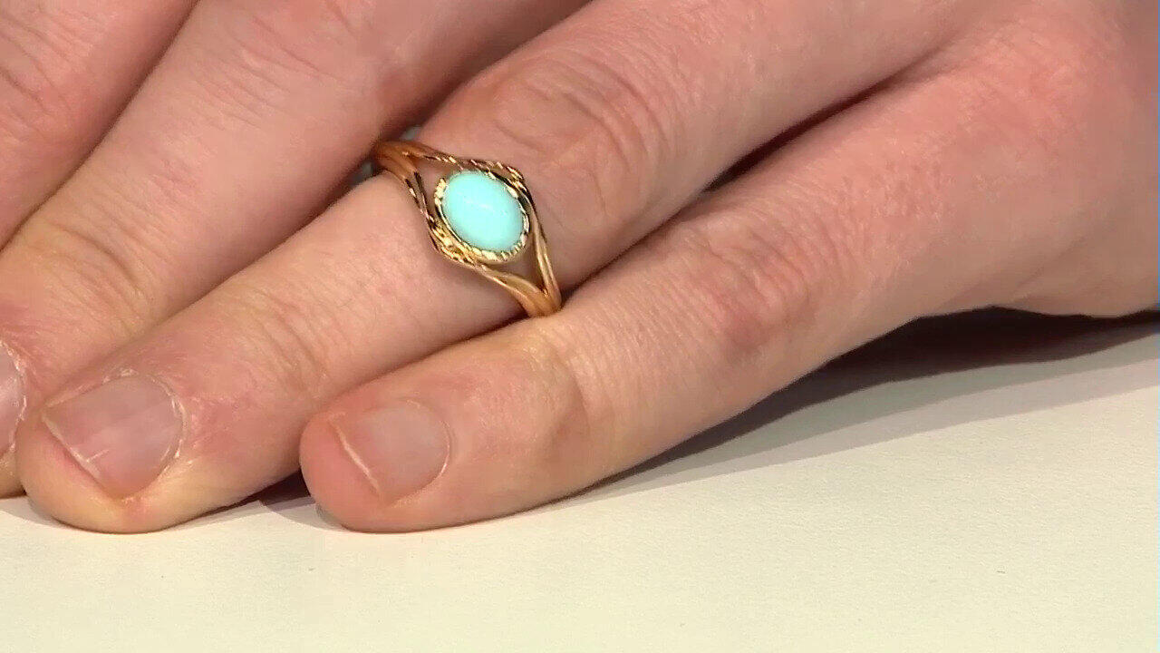 Letzte TV-Show ansehen