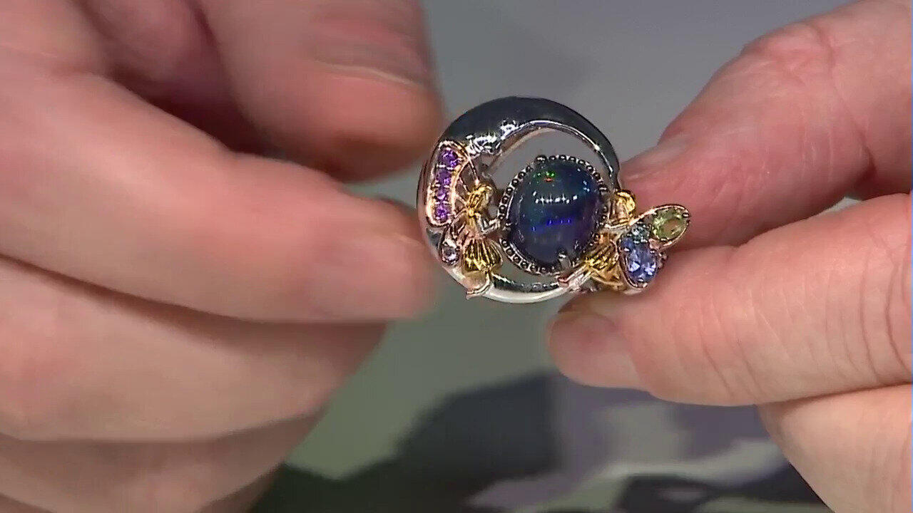 Letzte TV-Show ansehen