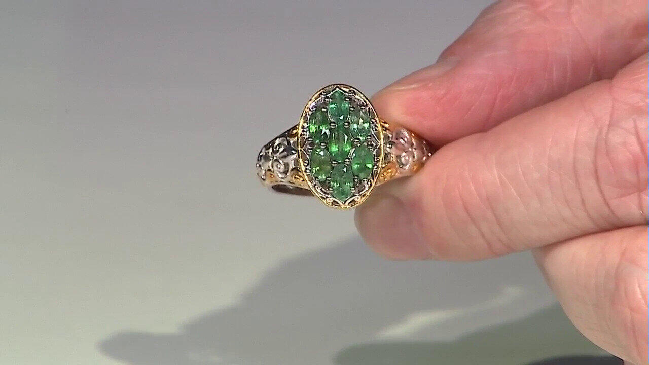 Voir l’enchère du bijou