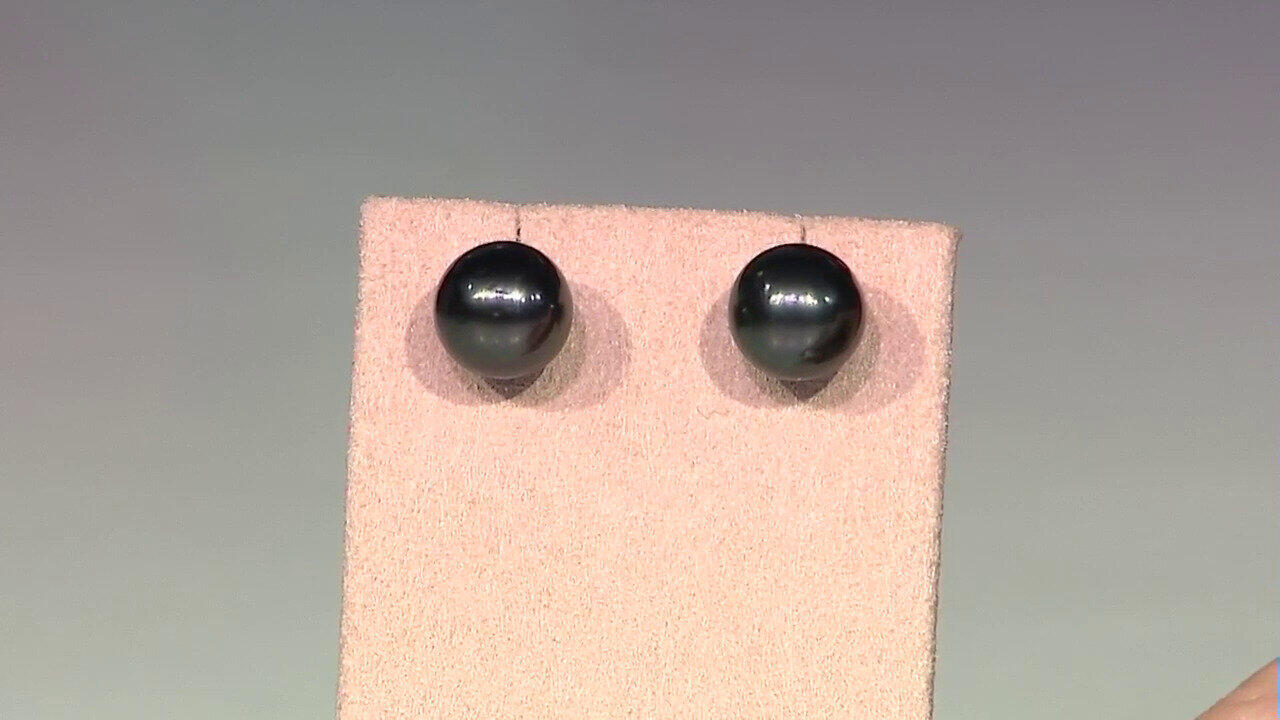 Letzte TV-Show ansehen