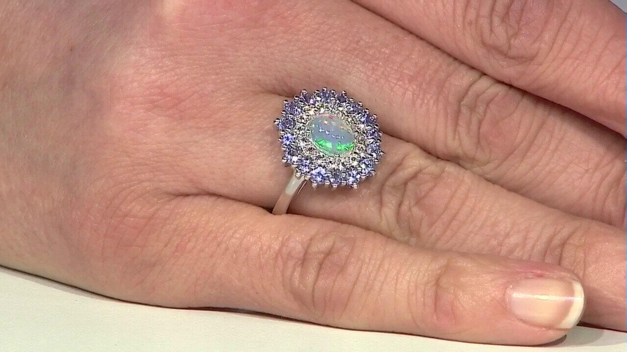 Letzte TV-Show ansehen