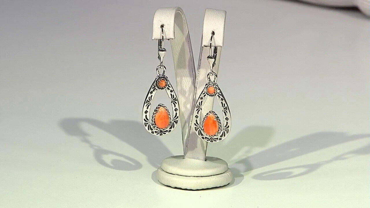 Laatste live aanbiedingen bekijken