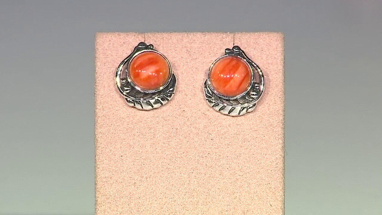 Ver última TV oferta