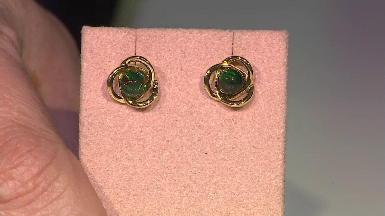 Laatste live aanbiedingen bekijken