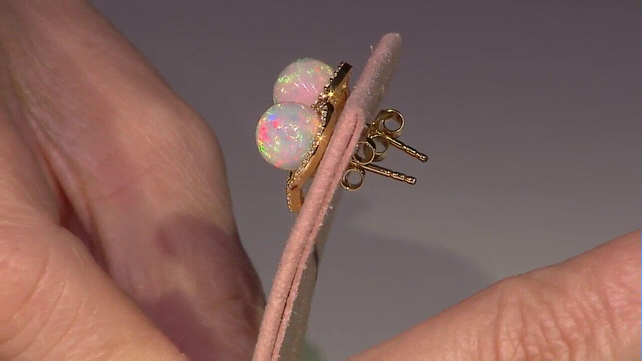 Laatste live aanbiedingen bekijken