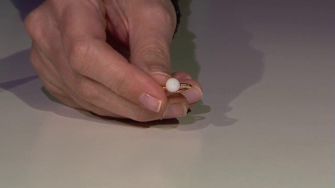 Letzte TV-Show ansehen