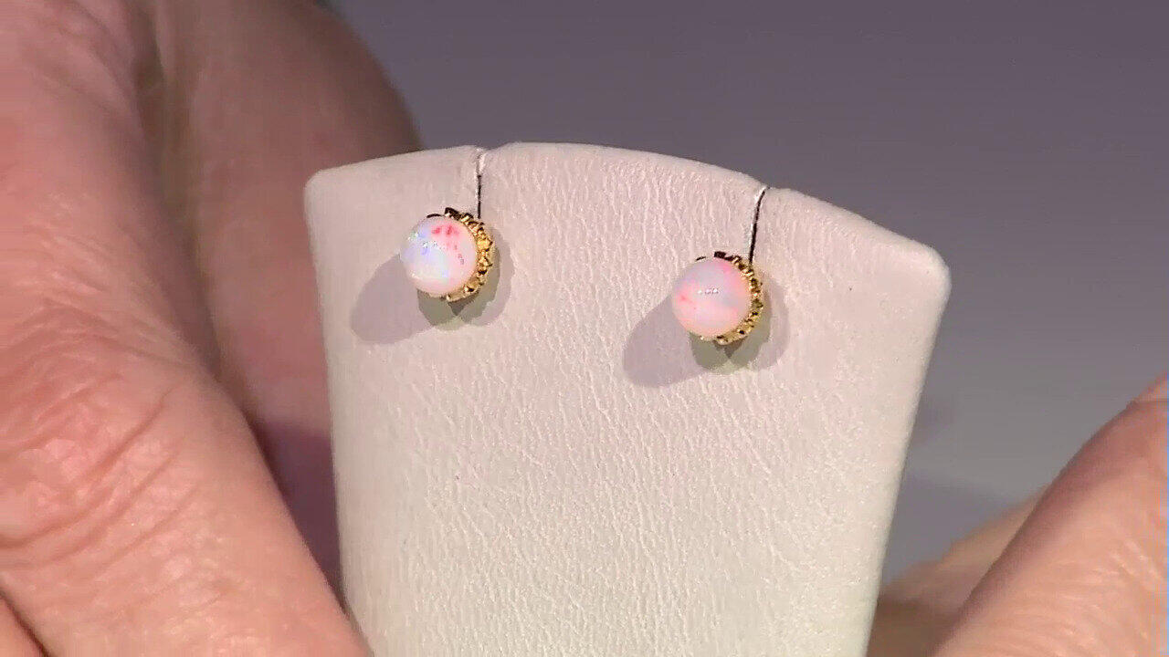 Laatste live aanbiedingen bekijken