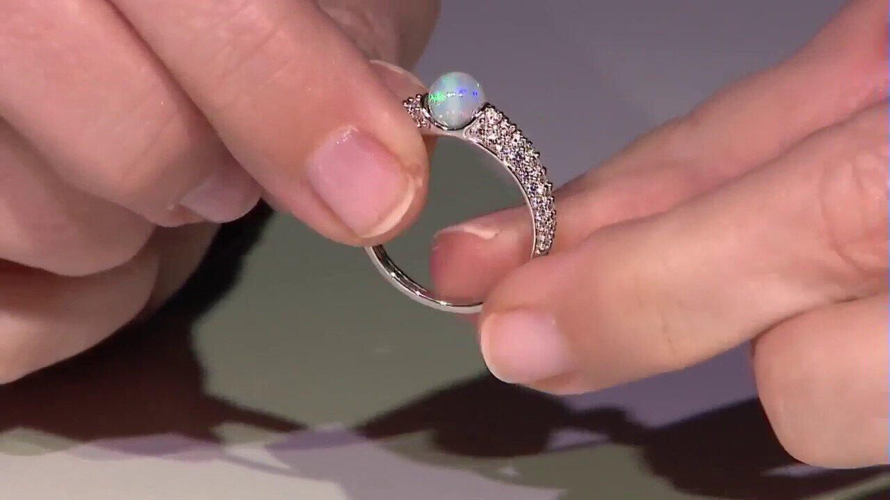 Letzte TV-Show ansehen