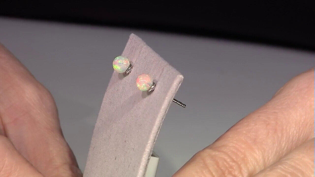 Laatste live aanbiedingen bekijken