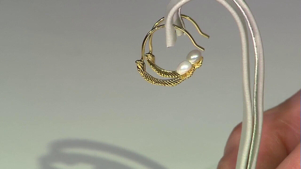 Laatste live aanbiedingen bekijken