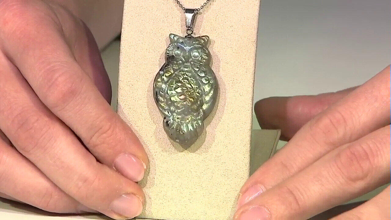 Letzte TV-Show ansehen