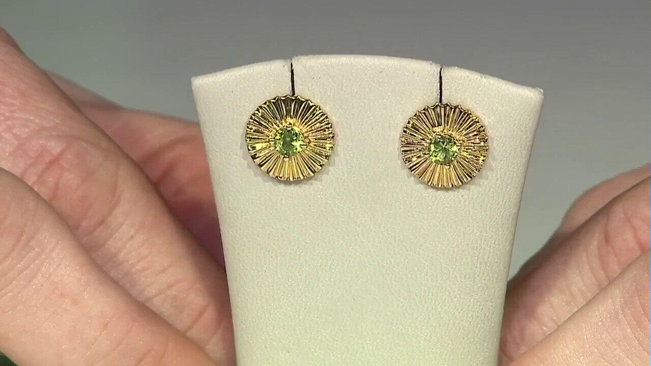 Laatste live aanbiedingen bekijken