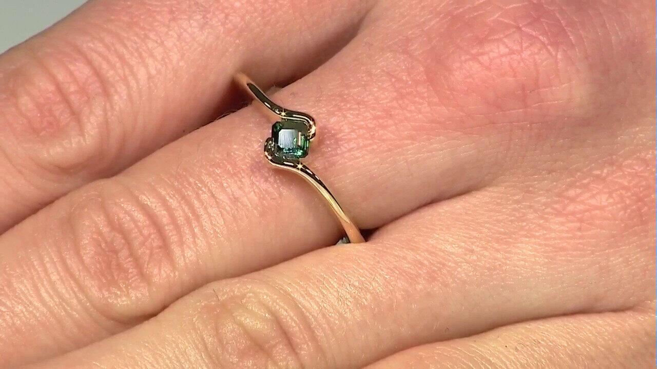 Letzte TV-Show ansehen