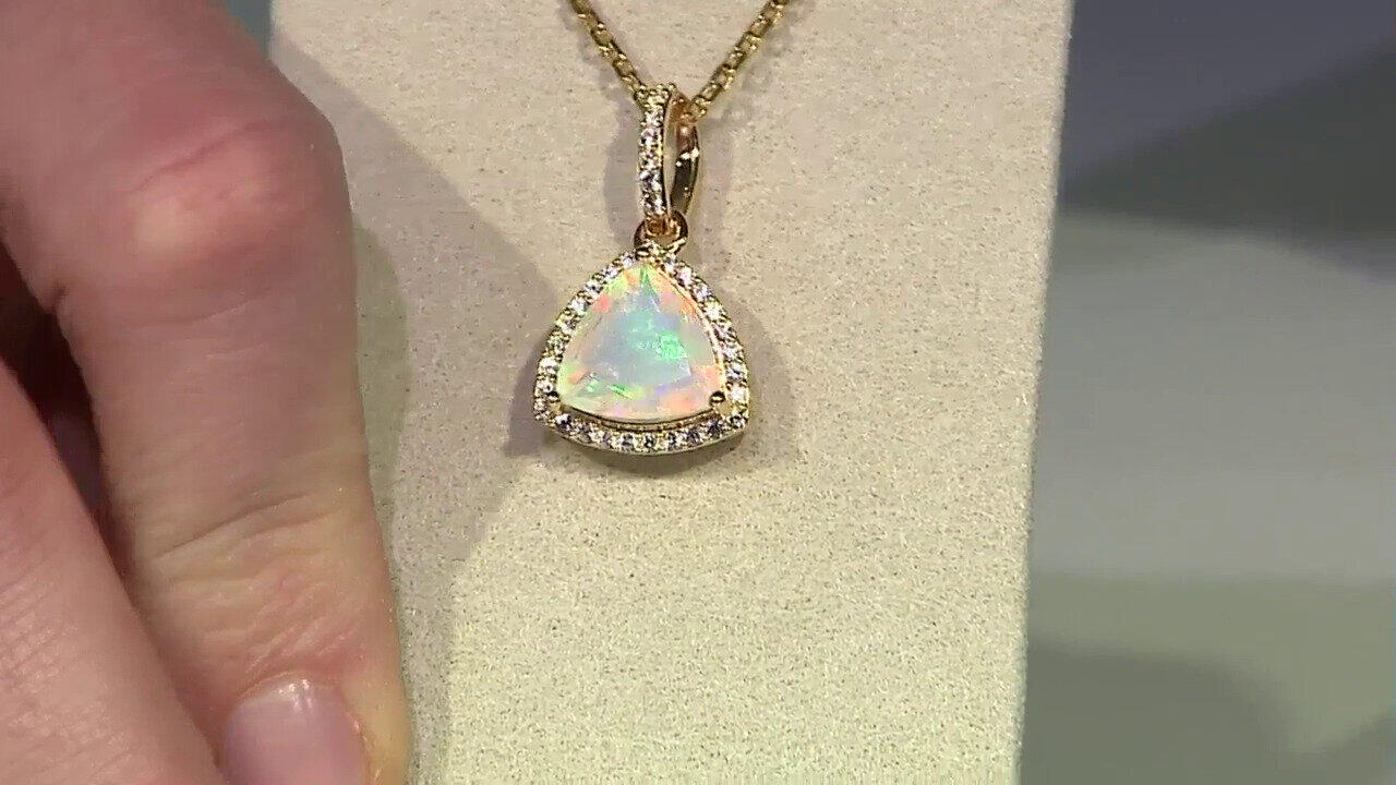 Laatste live aanbiedingen bekijken