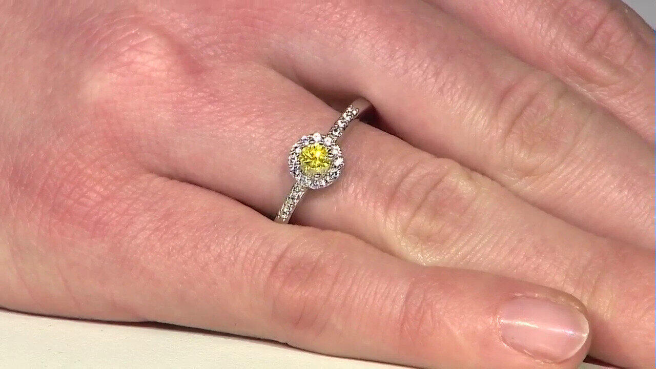 Voir l’enchère du bijou