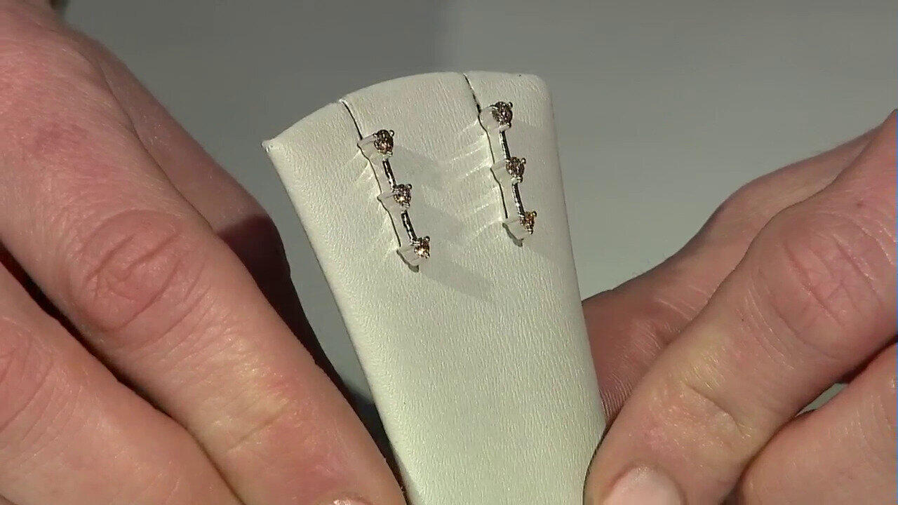 Letzte TV-Show ansehen