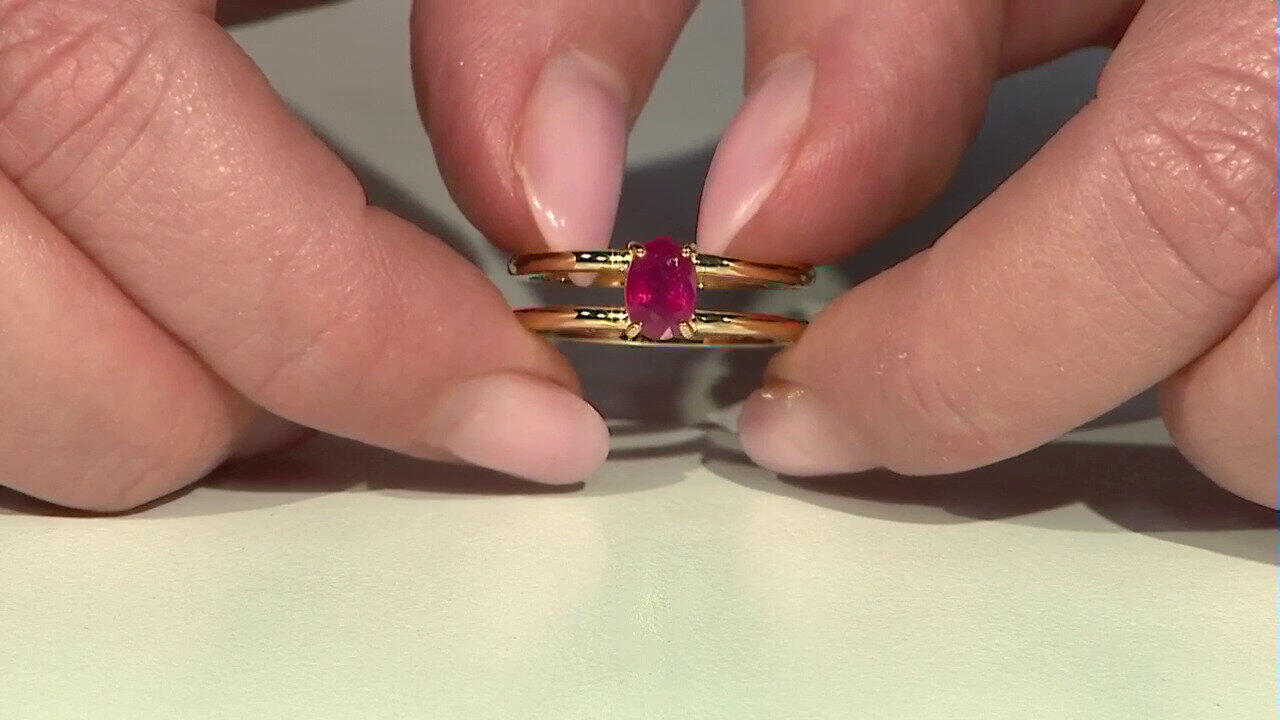 Letzte TV-Show ansehen