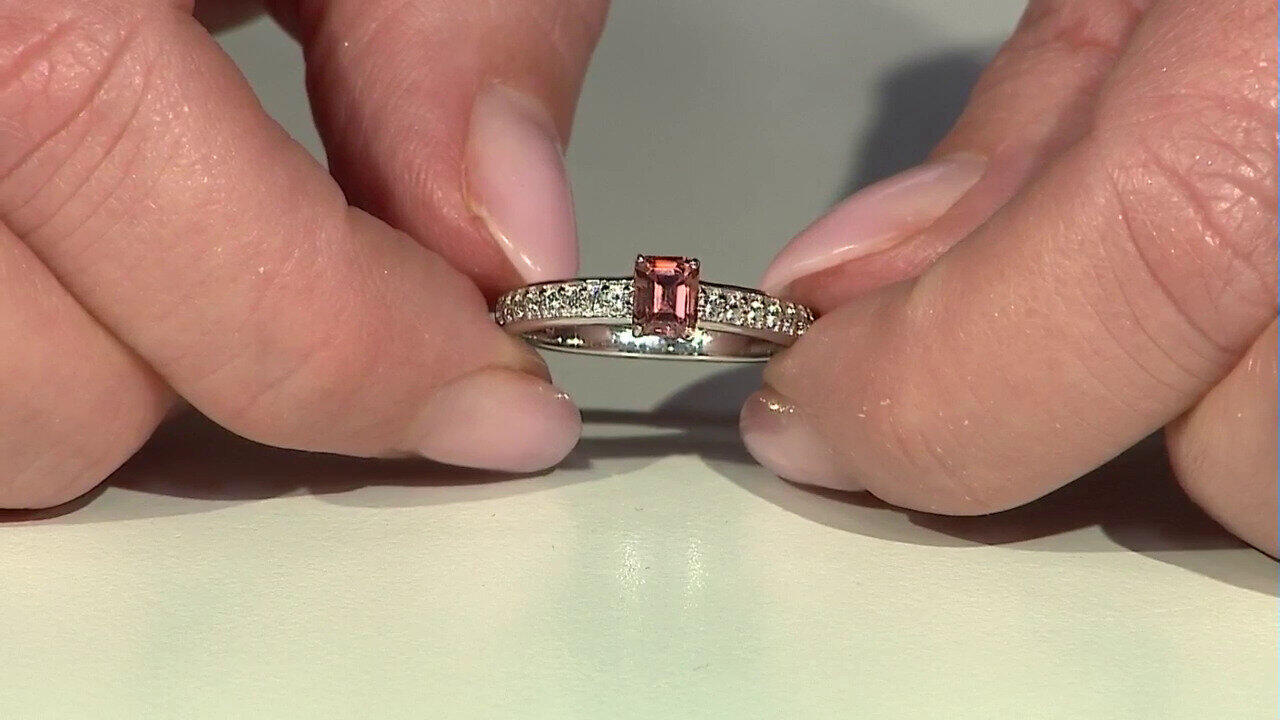 Laatste live aanbiedingen bekijken