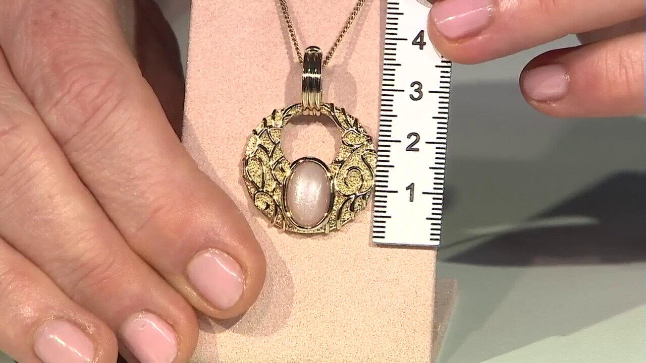 Letzte TV-Show ansehen