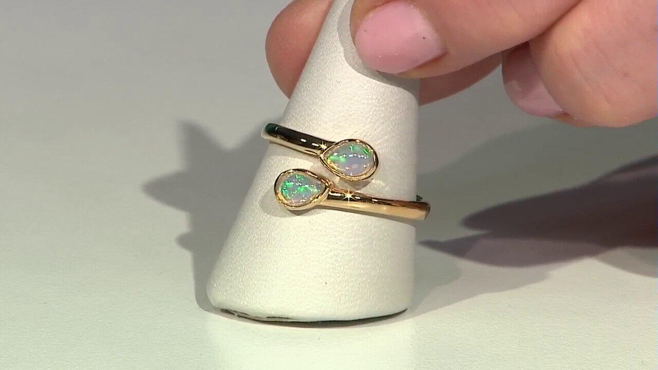 Laatste live aanbiedingen bekijken