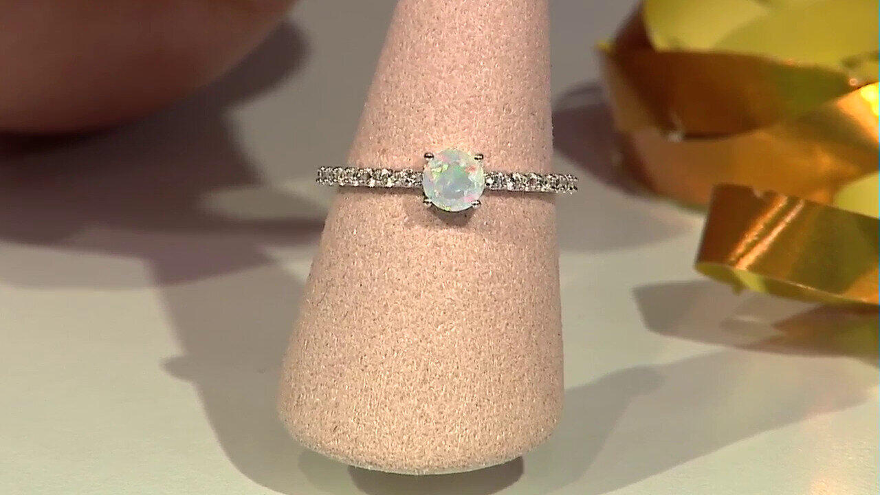 Laatste live aanbiedingen bekijken