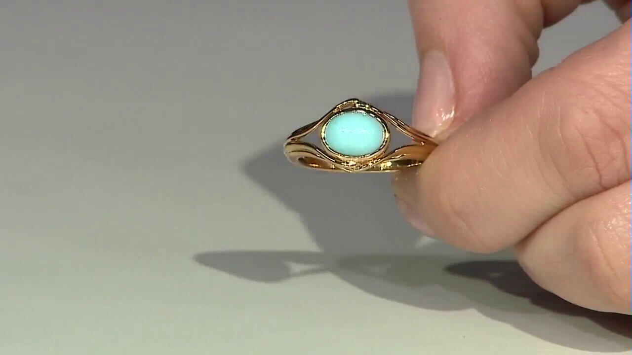 Letzte TV-Show ansehen