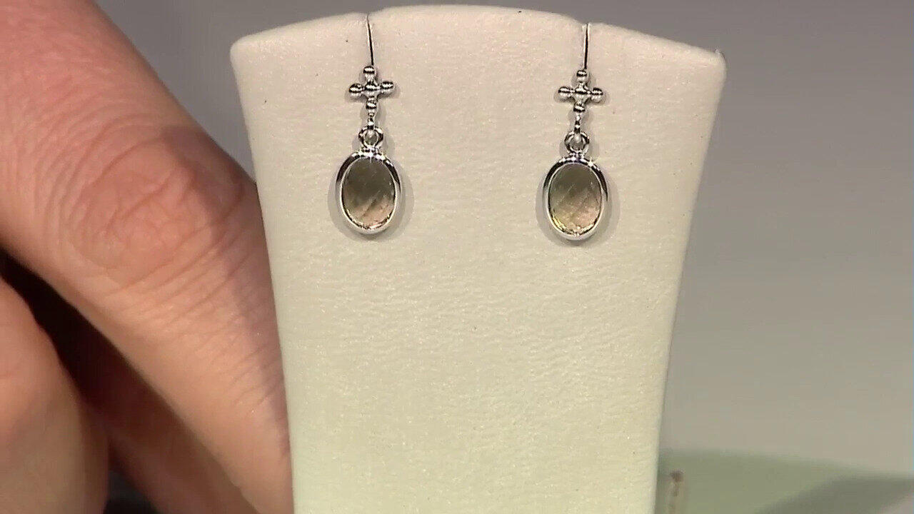 Letzte TV-Show ansehen