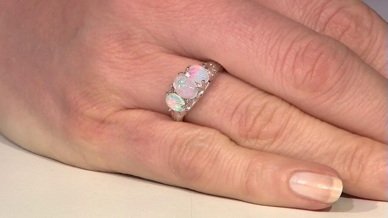 Laatste live aanbiedingen bekijken