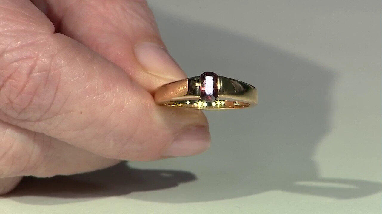 Letzte TV-Show ansehen