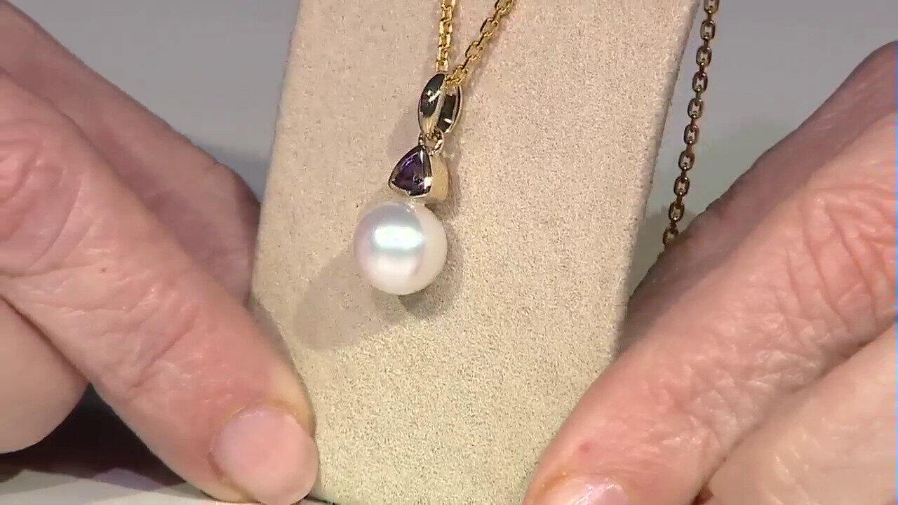 Letzte TV-Show ansehen