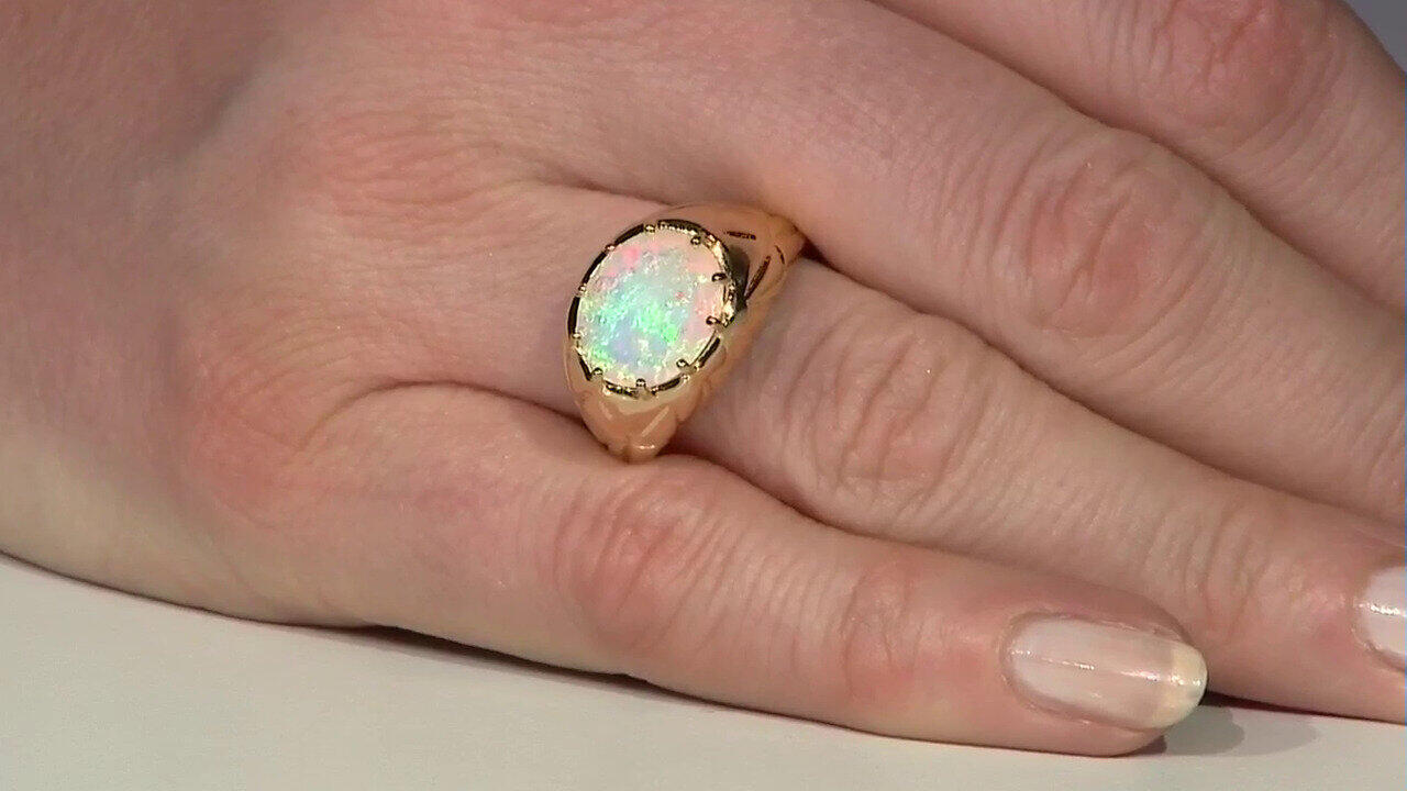 Letzte TV-Show ansehen