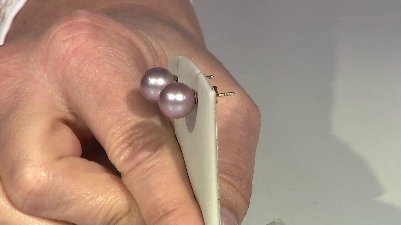 Laatste live aanbiedingen bekijken