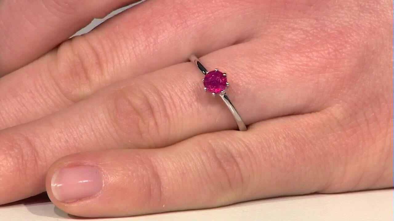 Laatste live aanbiedingen bekijken