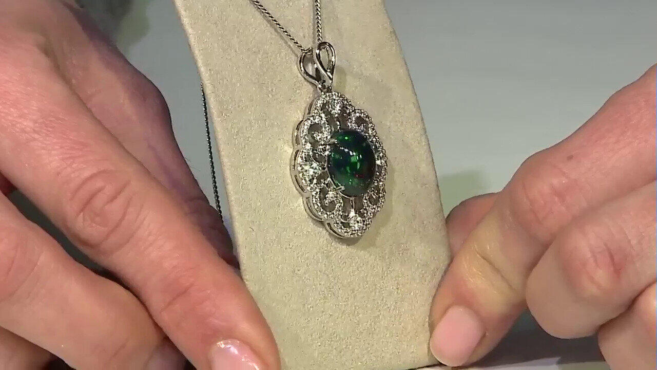 Letzte TV-Show ansehen