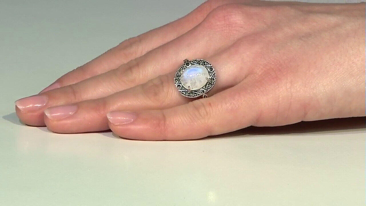 Letzte TV-Show ansehen