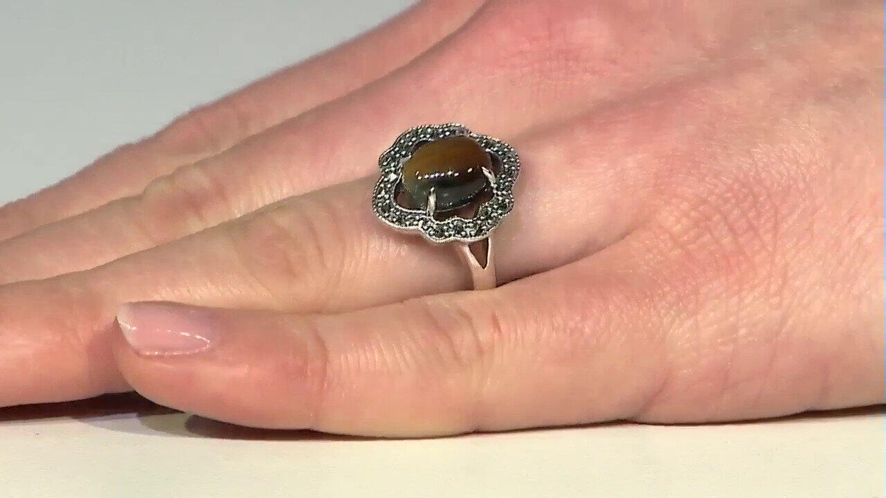 Letzte TV-Show ansehen