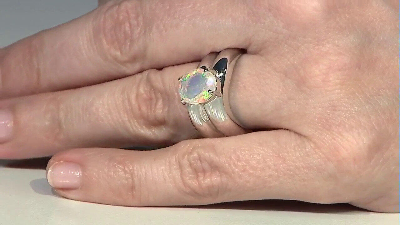 Letzte TV-Show ansehen