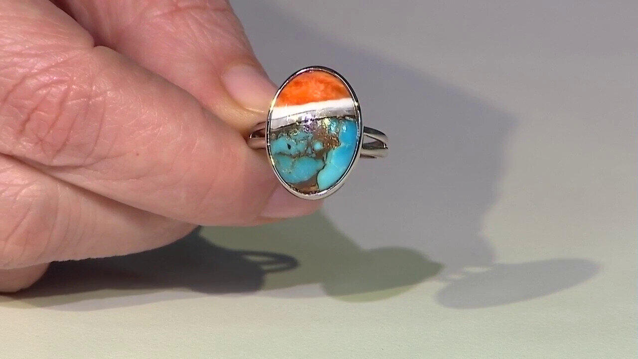 Letzte TV-Show ansehen