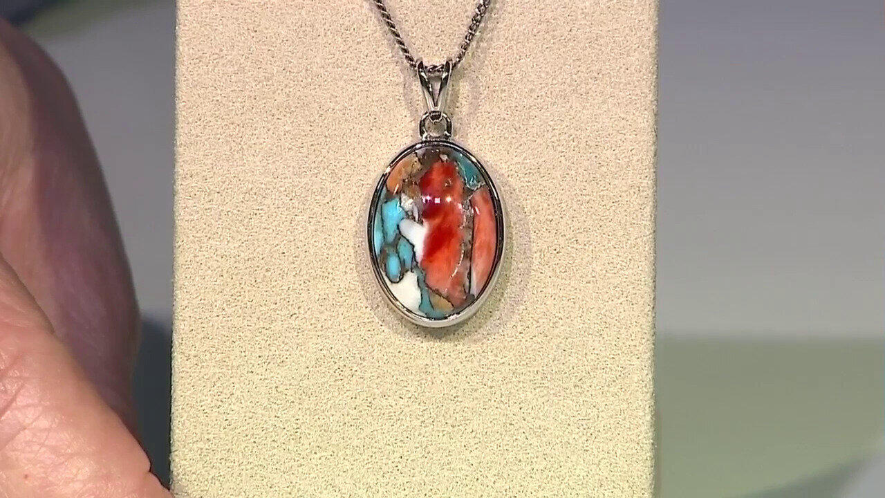 Letzte TV-Show ansehen