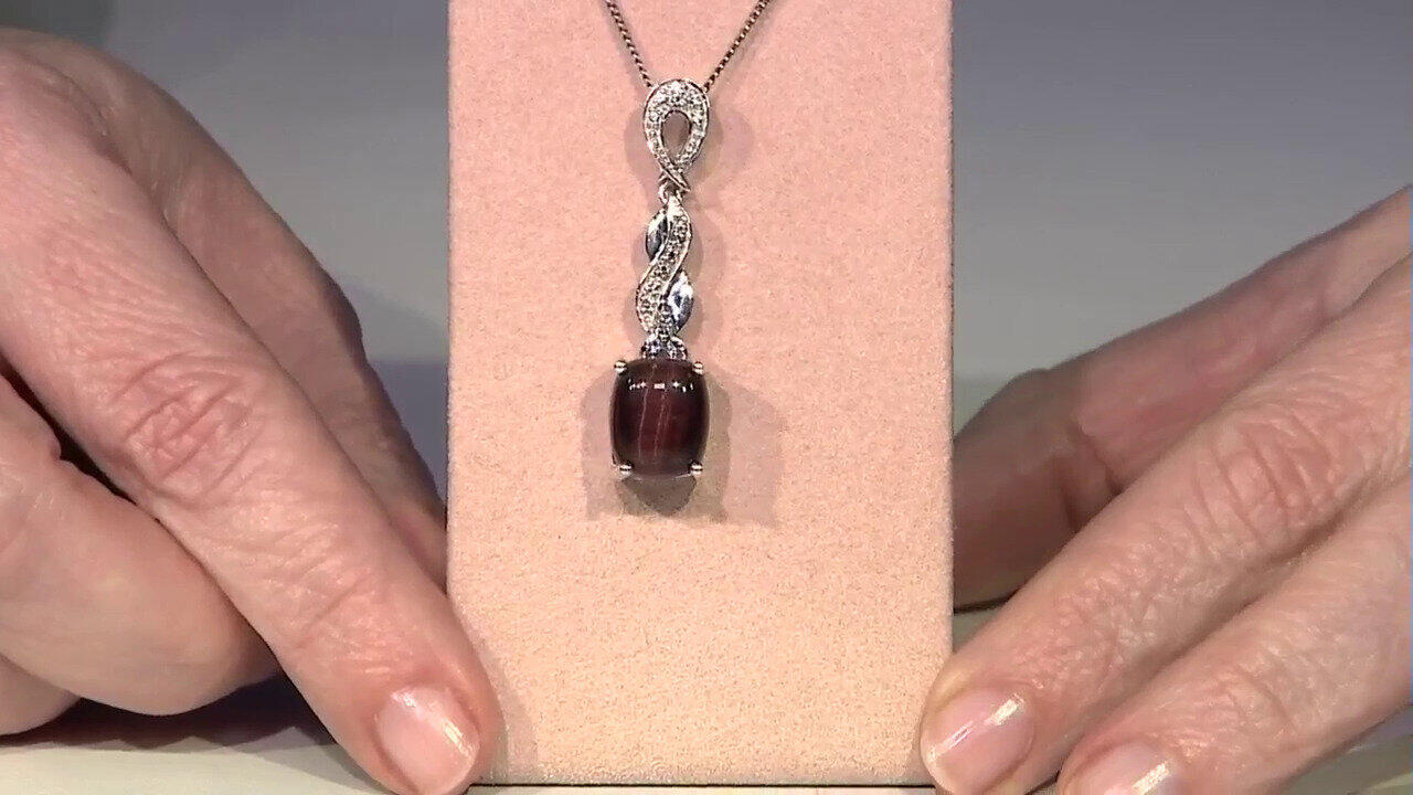 Letzte TV-Show ansehen