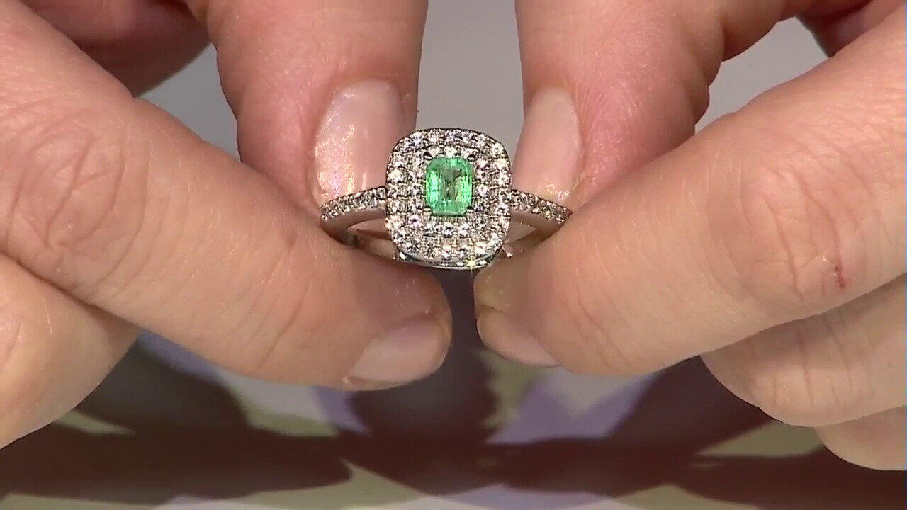 Letzte TV-Show ansehen