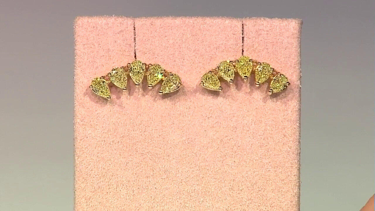 Voir l’enchère du bijou