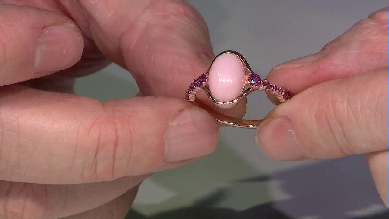 Letzte TV-Show ansehen